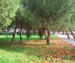 Universitaria Giner De Los Ríos - Hostel