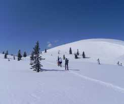 Hotel Wander-vitalhotel Steirerhof