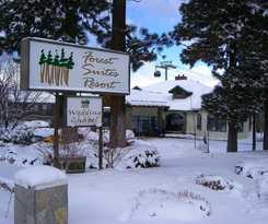 Hotel Forest Suites Resort At Heavenly Village