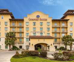 Hotel Comfort Suites Alamo - Riverwalk