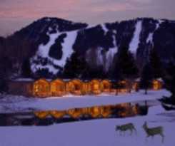 Hotel Rustic Inn Creekside Resort and Spa