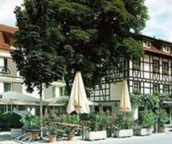 Ochsen