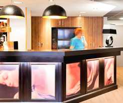 Hotel Ibis Styles Lille Marcq En Baroeul