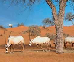 Hotel The Ritz-carlton Ras Al Khaimah, Al Wadi Desert