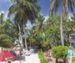 Hotel Cocoplum Beach