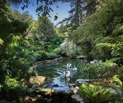 Hotel Bel-air - Dorchester Collection