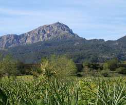 Finca Son Pont