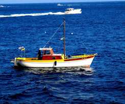 Palazzo Margherita Positano