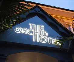 Hotel The Orchid