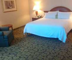 Hotel Hilton Garden Inn Toronto/markham
