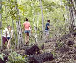 Hotel Andaz Costa Rica Resort At Peninsula Papagayo-a Concept By Hyatt