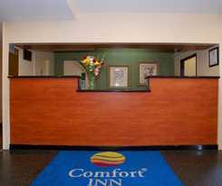 Hotel Comfort Inn Jfk Airport