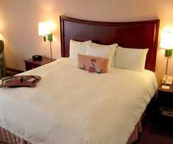 Hampton Inn Suites Alexandria Old Town Area South