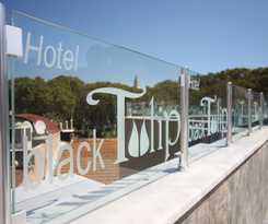 Boutique Hotel Black Tulip