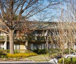 Ibis Styles Canberra Tall Trees