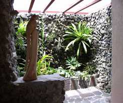 Hotel Lost Iguana Resort and Spa