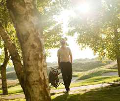 Hotel Novotel Auckland Ellerslie