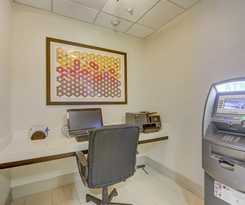 Hotel Holiday Inn Express & Suites Tampa -USF-Busch Gardens