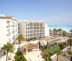 Myseahouse Flamingo - Adults Only