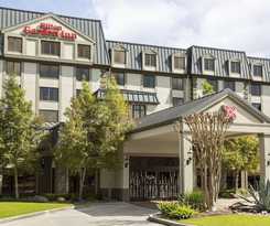 Hotel Hilton Garden Inn Houston Nw/willowbrook