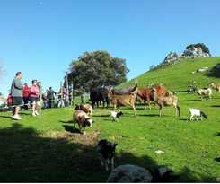 Camping Playa Joyel