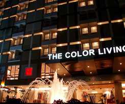 The Color Living