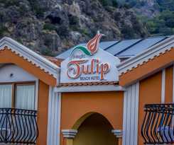 Hotel Magic Tulip Beach