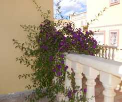  Belvilla by OYO Casa da Costa