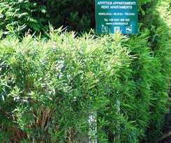 Hotel Residence Al Colle Dei Pini