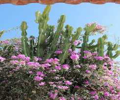  Can Moss&egrave;nyer