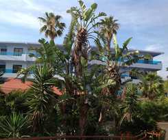 Hotel Area Blue Beach Apartments