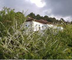 Finca Los Ciruelos