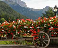Hotel Alpine Touring