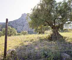 El Refugio De Alamut