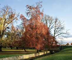 Best Western Whitworth Hall Country Park 