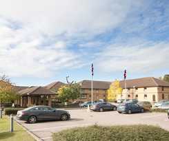 Dragonfly Peterborough