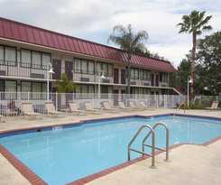 Hotel Red Roof Inn Palm Harbour Tarpon Hotel