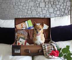 Hotel Best Western Plus John Bauer