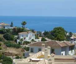 Amapola