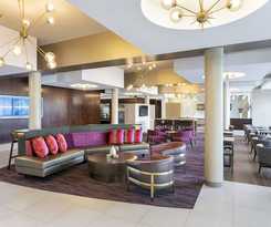 Springhill Suites Philadelphia Airport Ridley Park
