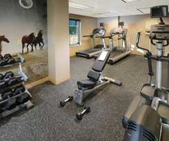 Hotel Springhill Suites By Marriott Fort Worth University