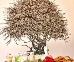 Hotel Haadtien Beach Resort