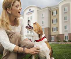 Hotel Sonesta Simply Suites Arlington