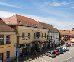 Hotel Hotel Leul De Aur