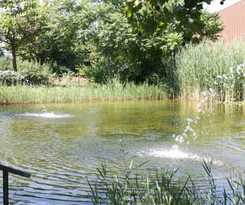 Hotel Mörbischerhof