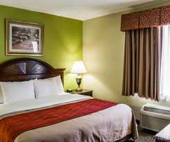 Comfort Inn St Petersburg North