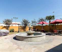 Hotel Baymont By Wyndham Houston North