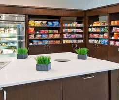 Hotel HOLIDAY INN AUSTIN AIRPORT