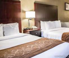 Comfort Suites Clearwater - Dunedin