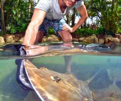 Hotel Daydream Island Resort